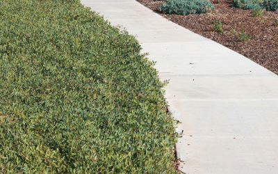 Transform Your Outdoors: The Benefits of Concrete Sidewalks from Atlanta Driveway