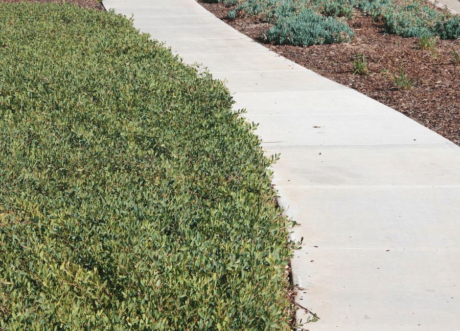 Transform Your Outdoors: The Benefits of Concrete Sidewalks from Atlanta Driveway